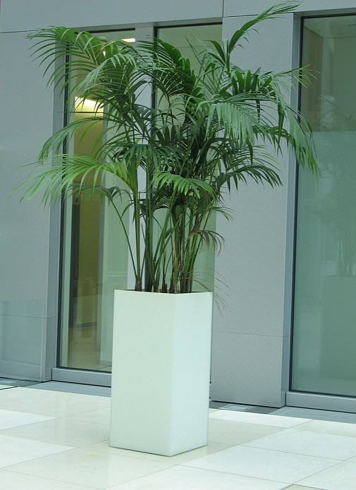 Glasbau Hilden
